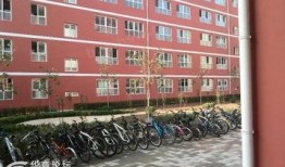 新福园中学最新爆料信息,最新爆料信息曝光，校园风云再起！”